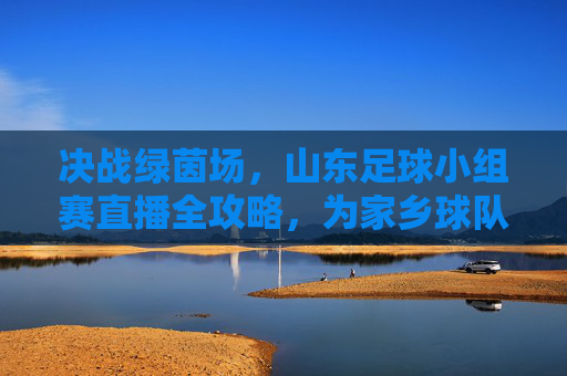 决战绿茵场,山东足球小组赛直播全攻略,为家乡球队呐喊助威
