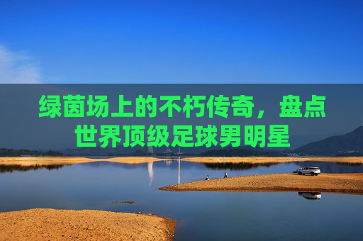 绿茵场上的不朽传奇,盘点世界顶级足球男明星