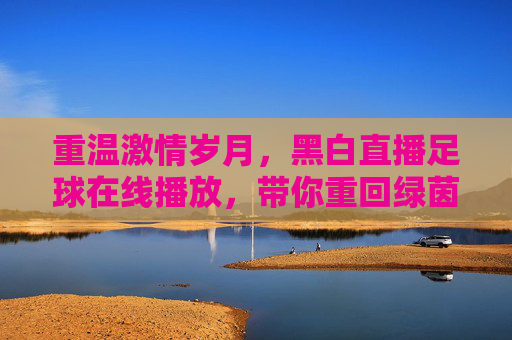 重温激情岁月,黑白直播足球在线播放,带你重回绿茵场