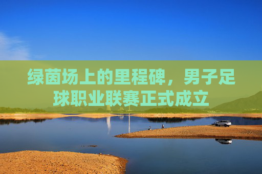 绿茵场上的里程碑,男子足球职业联赛正式成立