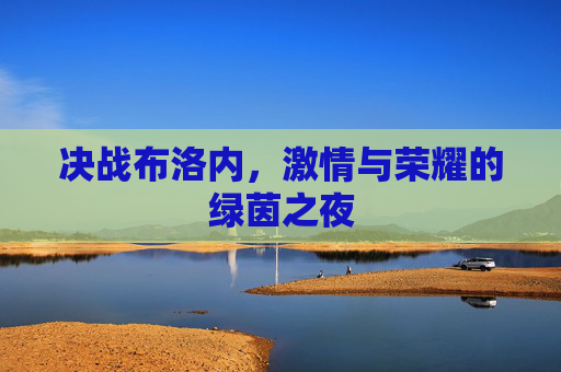 决战布洛内,激情与荣耀的绿茵之夜
