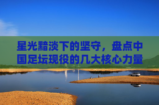 星光黯淡下的坚守,盘点中国足坛现役的几大核心力量