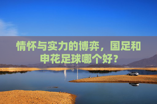 情怀与实力的博弈,国足和申花足球哪个好?