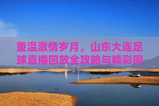 重温激情岁月,山东大连足球直播回放全攻略与精彩回顾