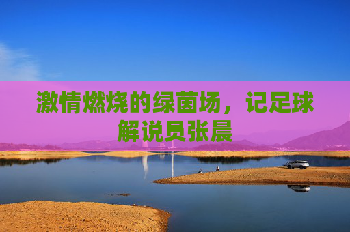 激情燃烧的绿茵场,记足球解说员张晨