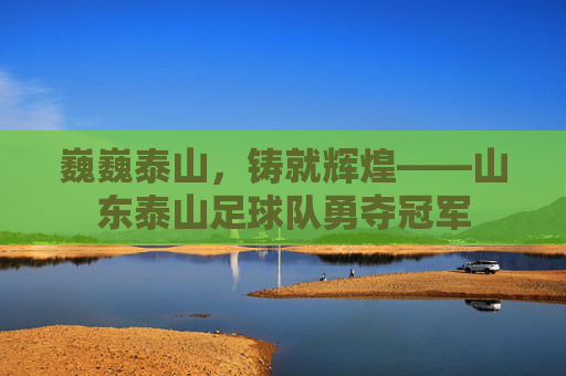 巍巍泰山，铸就辉煌——山东泰山足球队勇夺冠军