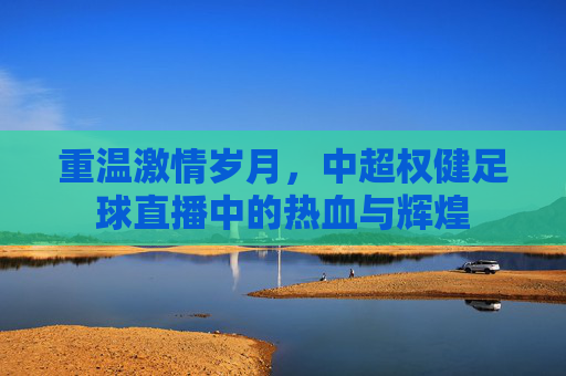 重温激情岁月,中超权健足球直播中的热血与辉煌