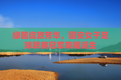 绿茵绽放芳华,固安女子足球联赛冠军荣耀诞生