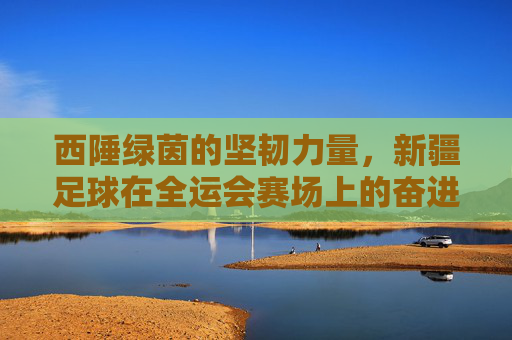 西陲绿茵的坚韧力量,新疆足球在全运会赛场上的奋进与突围