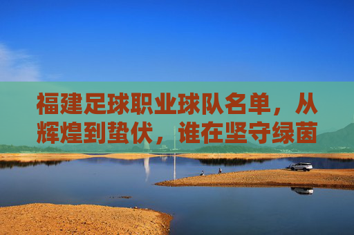 福建足球职业球队名单,从辉煌到蛰伏,谁在坚守绿茵梦?