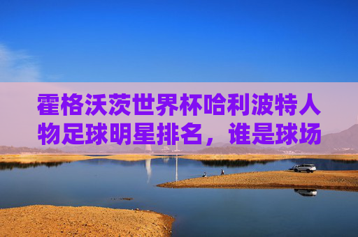 霍格沃茨世界杯哈利波特人物足球明星排名,谁是球场上的霍格沃茨梅西?