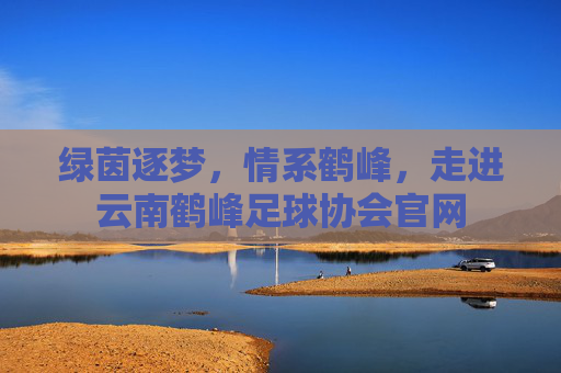 绿茵逐梦,情系鹤峰,走进云南鹤峰足球协会官网