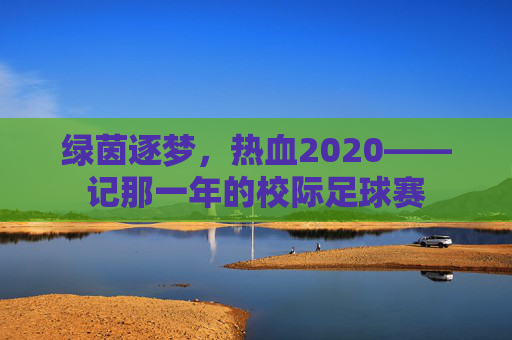 绿茵逐梦,热血2020——记那一年的校际足球赛