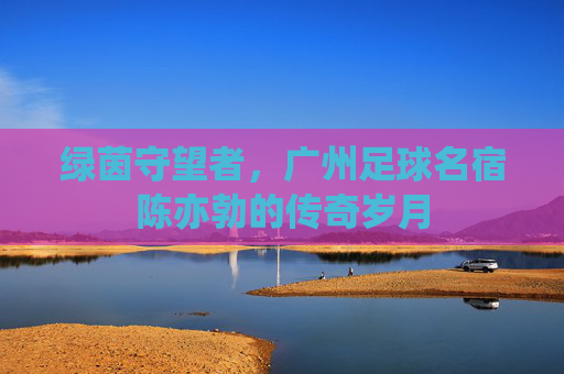 绿茵守望者,广州足球名宿陈亦勃的传奇岁月