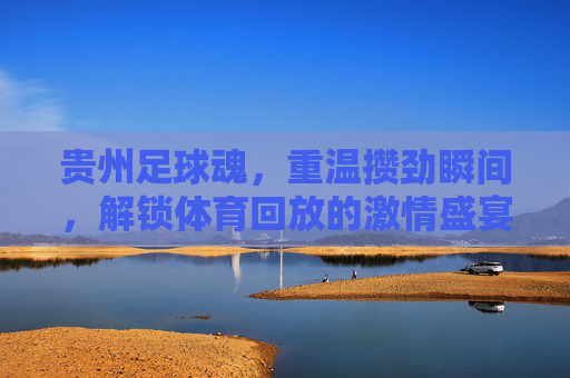 贵州足球魂,重温攒劲瞬间,解锁体育回放的激情盛宴