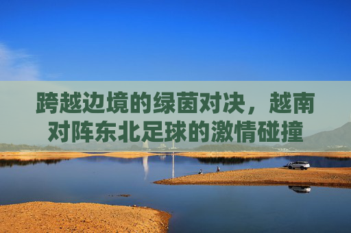 跨越边境的绿茵对决，越南对阵东北足球的激情碰撞