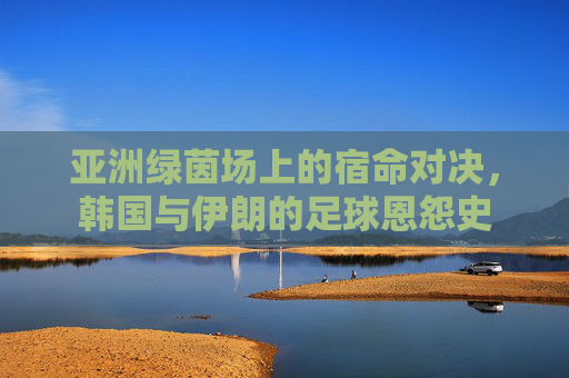 亚洲绿茵场上的宿命对决,韩国与伊朗的足球恩怨史