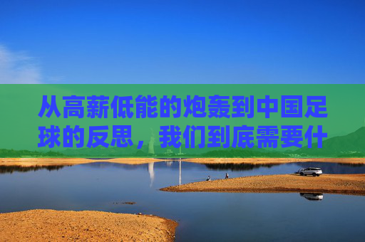 从高薪低能的炮轰到中国足球的反思,我们到底需要什么?