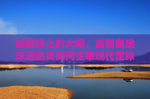 绿茵场上的大脑，高智商足球运动员如何主宰现代足球