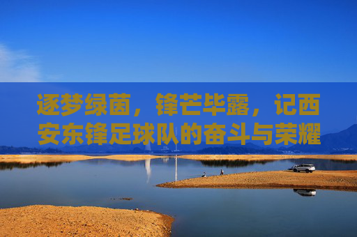 逐梦绿茵,锋芒毕露,记西安东锋足球队的奋斗与荣耀
