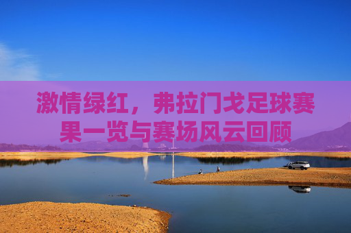 激情绿红,弗拉门戈足球赛果一览与赛场风云回顾