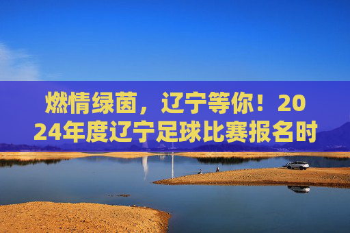 燃情绿茵,辽宁等你!2024年度辽宁足球比赛报名时间全攻略