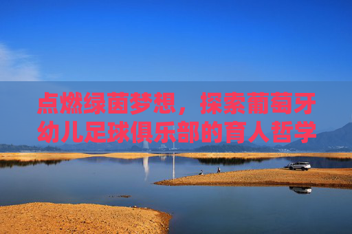 点燃绿茵梦想,探索葡萄牙幼儿足球俱乐部的育人哲学