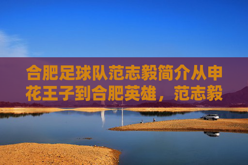 合肥足球队范志毅简介从申花王子到合肥英雄,范志毅的绿茵传奇与桂冠岁月