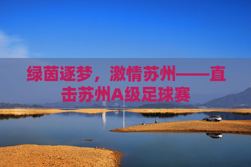绿茵逐梦,激情苏州——直击苏州A级足球赛