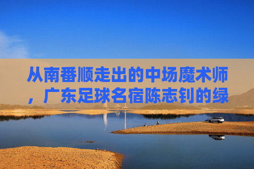 从南番顺走出的中场魔术师,广东足球名宿陈志钊的绿茵人生
