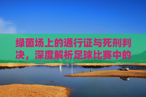 绿茵场上的通行证与死刑判决,深度解析足球比赛中的黄牌与红牌