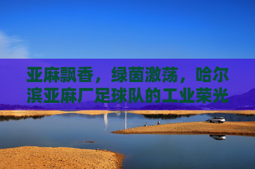 亚麻飘香,绿茵激荡,哈尔滨亚麻厂足球队的工业荣光与时代记忆