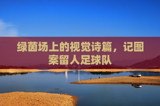 绿茵场上的视觉诗篇,记图案留人足球队