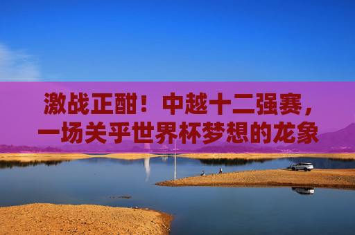 激战正酣!中越十二强赛,一场关乎世界杯梦想的龙象之争