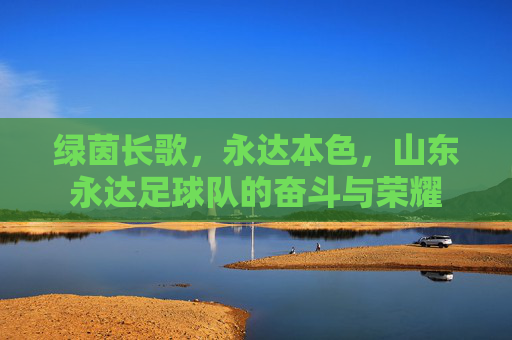 绿茵长歌,永达本色,山东永达足球队的奋斗与荣耀