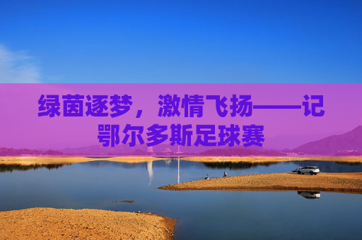 绿茵逐梦,激情飞扬——记鄂尔多斯足球赛