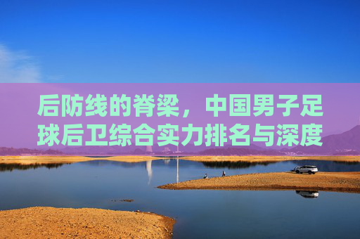 后防线的脊梁,中国男子足球后卫综合实力排名与深度解析