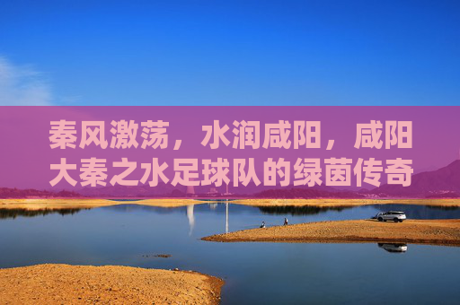秦风激荡,水润咸阳,咸阳大秦之水足球队的绿茵传奇