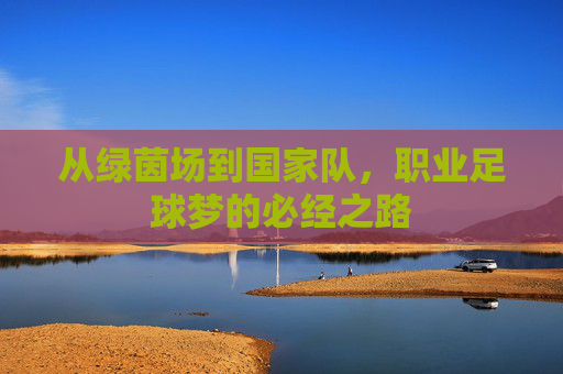 从绿茵场到国家队,职业足球梦的必经之路