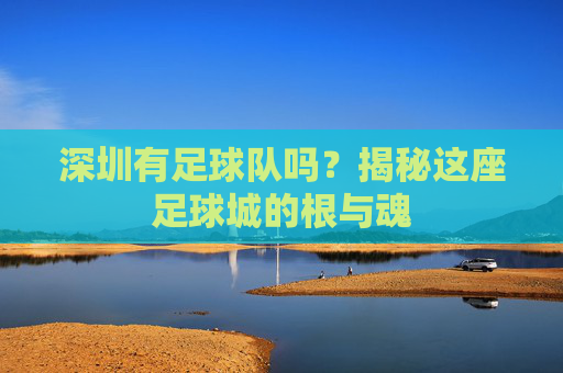 深圳有足球队吗?揭秘这座足球城的根与魂