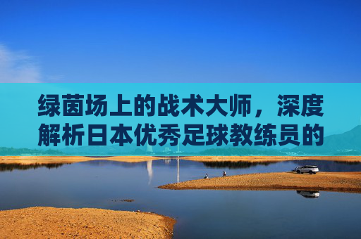 绿茵场上的战术大师,深度解析日本优秀足球教练员的培养与智慧