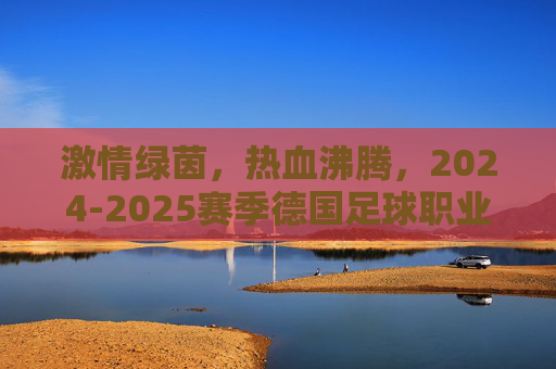 激情绿茵，热血沸腾，2024-2025赛季德国足球职业比赛赛程全解析