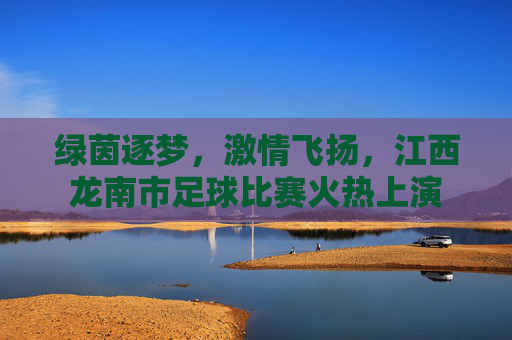 绿茵逐梦,激情飞扬,江西龙南市足球比赛火热上演
