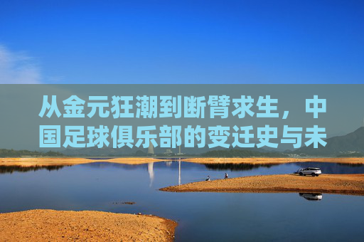从金元狂潮到断臂求生,中国足球俱乐部的变迁史与未来路