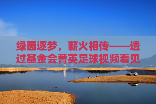 绿茵逐梦，薪火相传——透过基金会菁英足球视频看见成长的力量