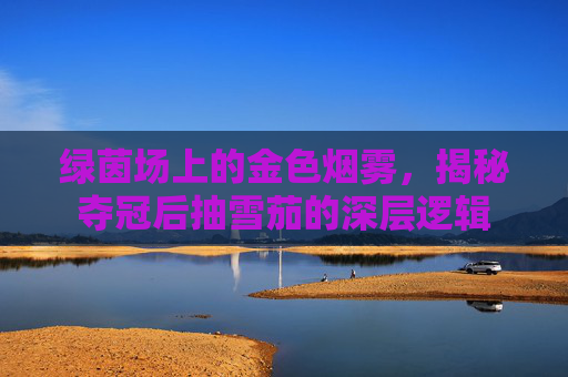 绿茵场上的金色烟雾，揭秘夺冠后抽雪茄的深层逻辑