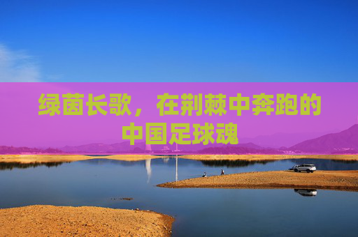 绿茵长歌,在荆棘中奔跑的中国足球魂