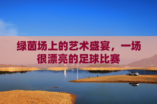 绿茵场上的艺术盛宴,一场很漂亮的足球比赛