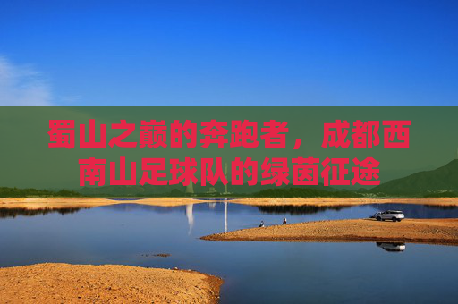 蜀山之巅的奔跑者,成都西南山足球队的绿茵征途