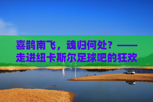 喜鹊南飞,魂归何处?——走进纽卡斯尔足球吧的狂欢与坚守